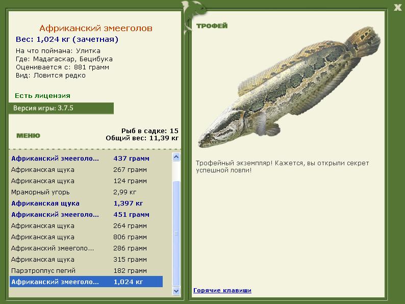 Африканский змееголов 