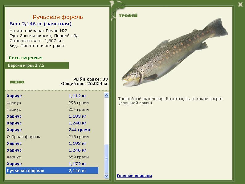 Ручьевая форель 