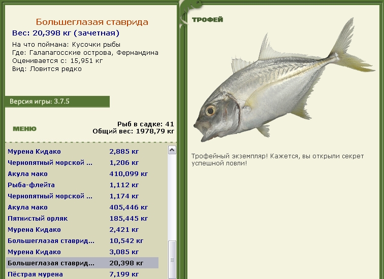 Большеглазая ставрида 