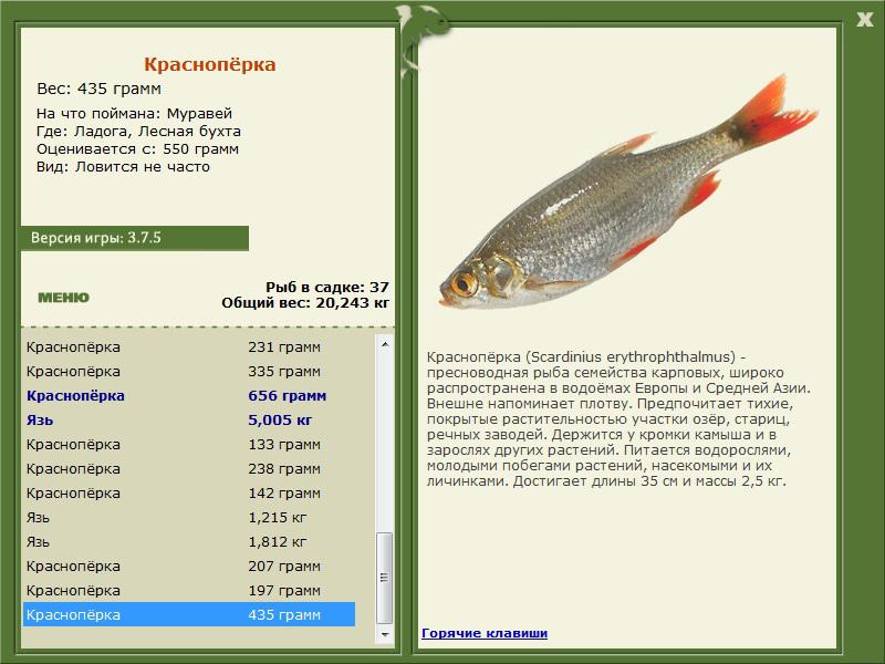 Лесная бухта 
