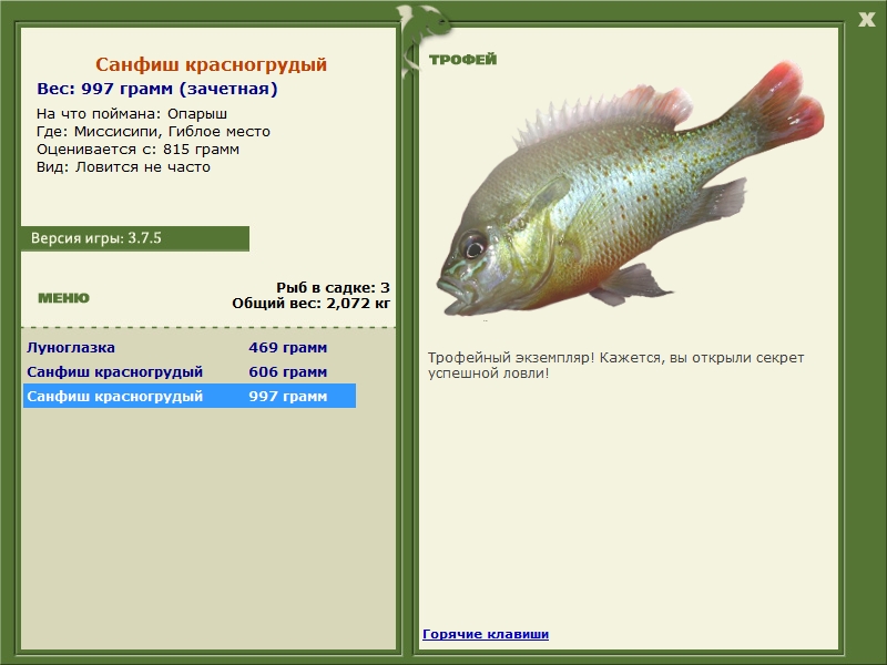 Санфиш красногрудый 