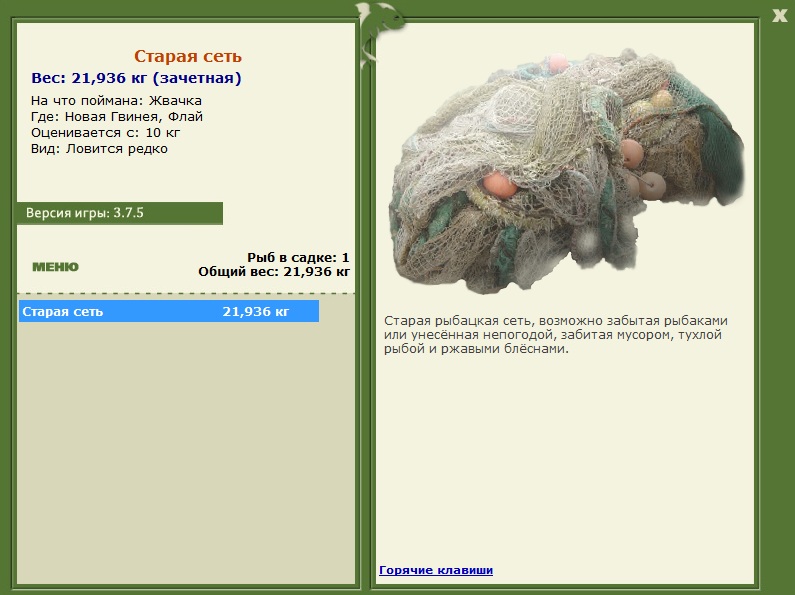 Старая сеть 