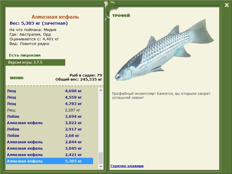 турниры • РУССКАЯ РЫБАЛКА