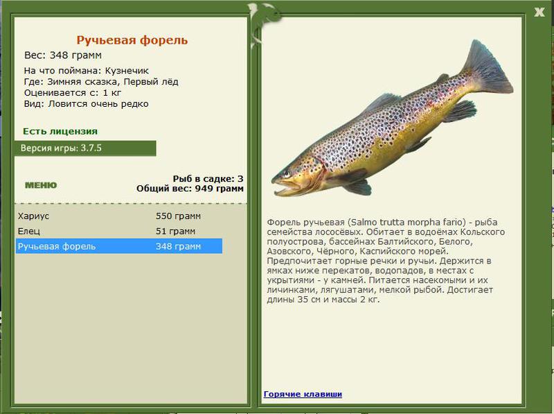 РУССКАЯ РЫБАЛКА Installsoft Edition 