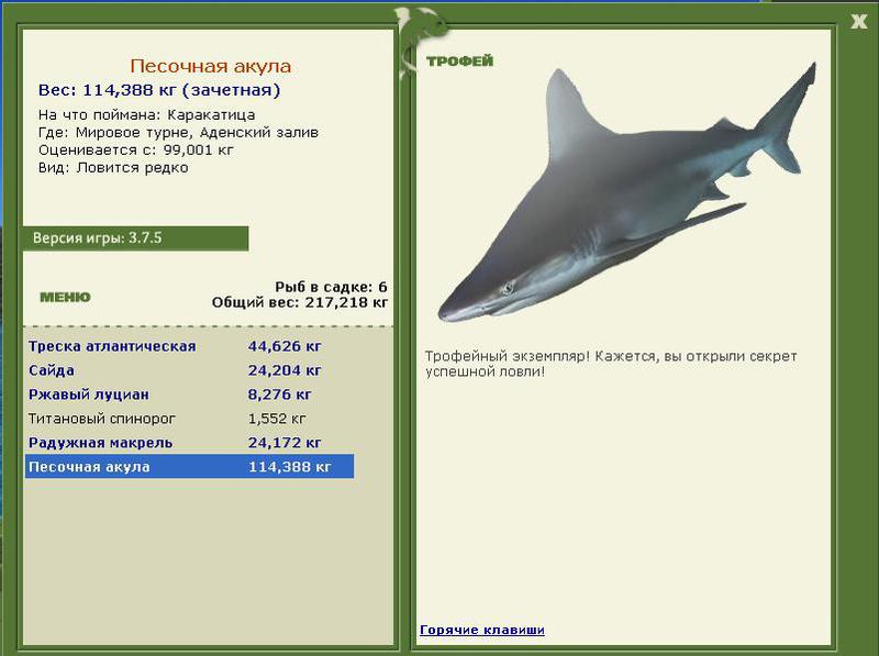 Песочная акула 