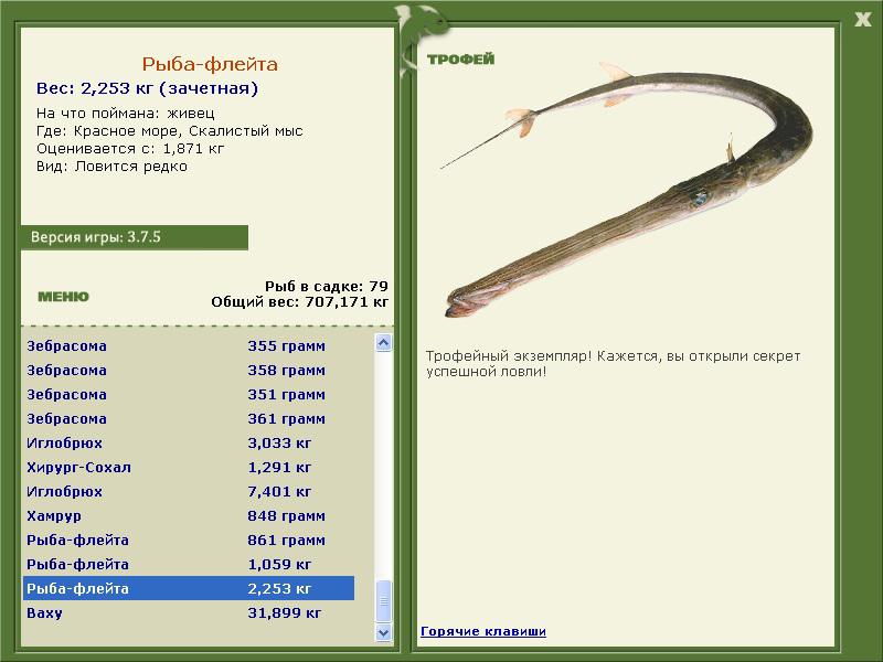 флейта • Рыбы • РУССКАЯ РЫБАЛКА