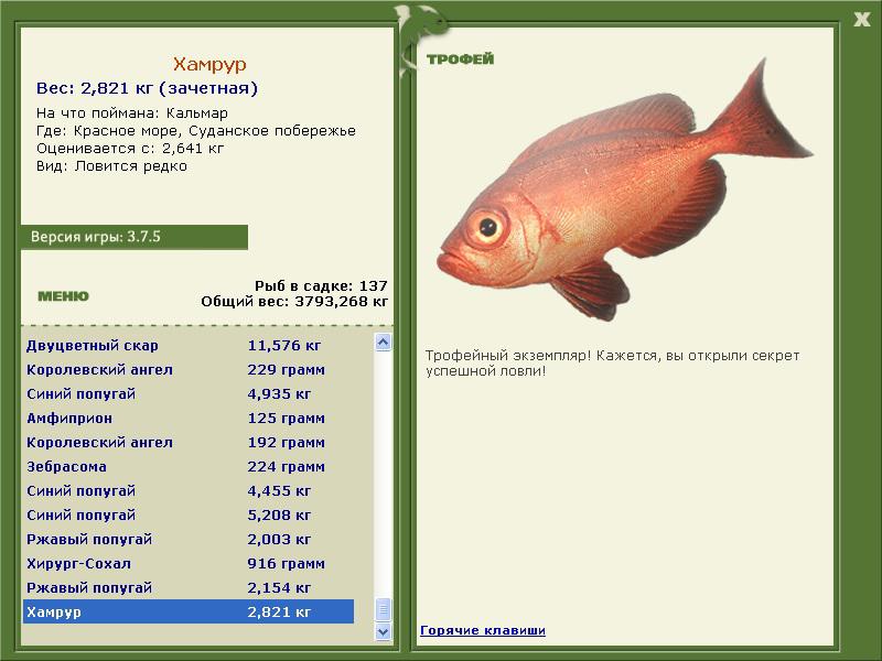 Хамрур 