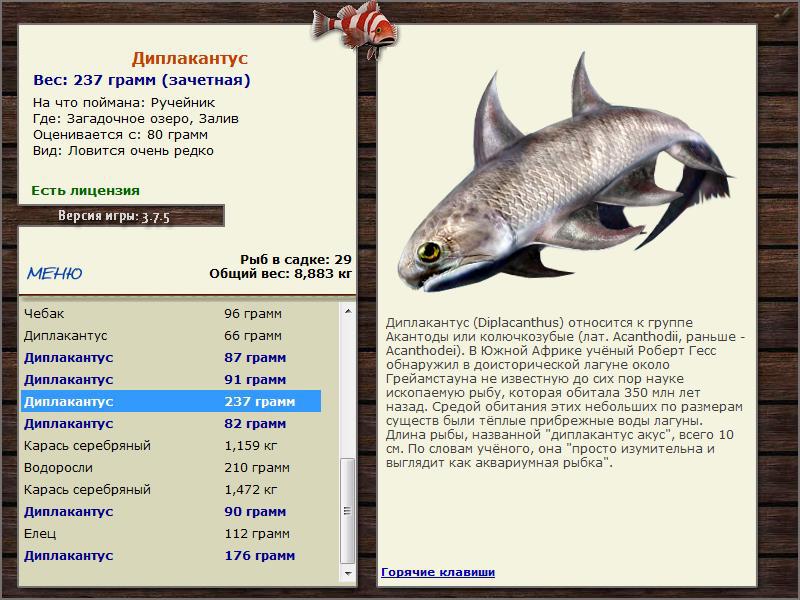 Залив 