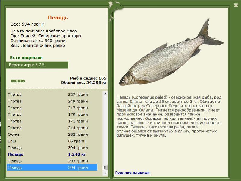 РУССКАЯ РЫБАЛКА Installsoft Edition 