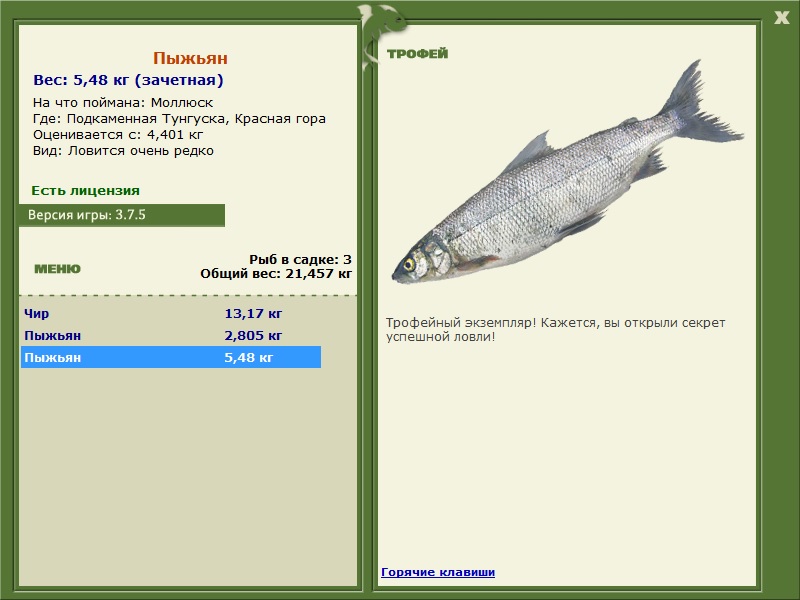 турниры • РУССКАЯ РЫБАЛКА