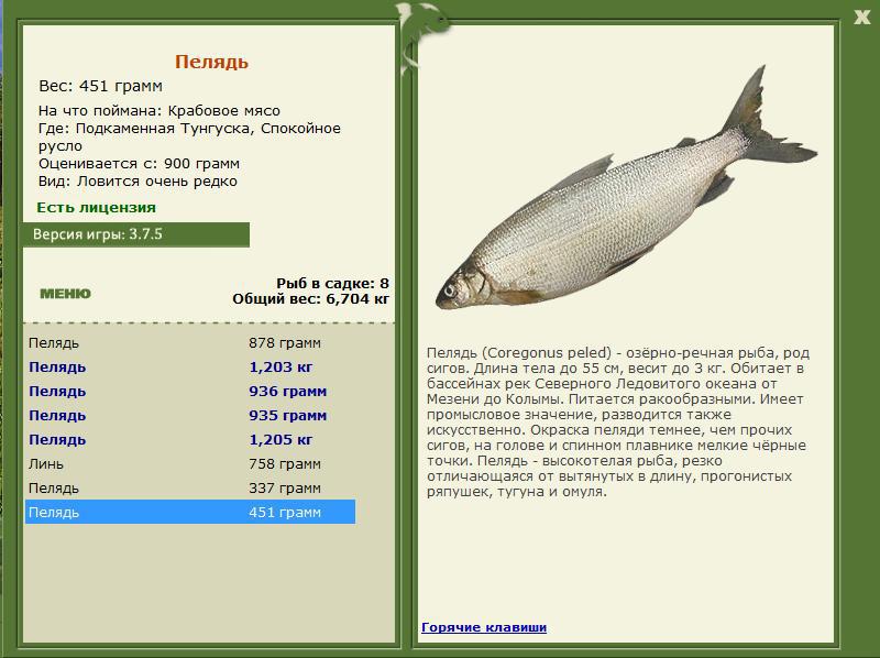 РУССКАЯ РЫБАЛКА Installsoft Edition 