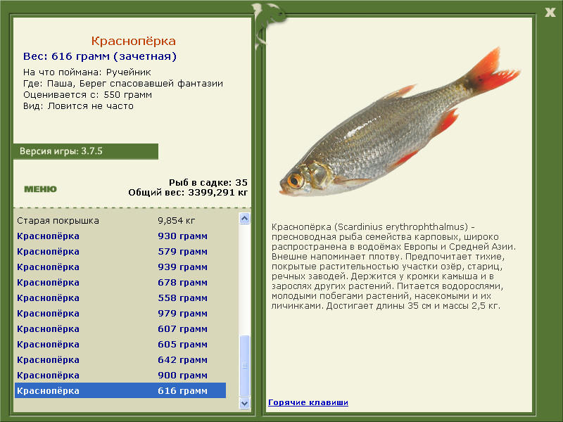 РУССКАЯ РЫБАЛКА Installsoft Edition 