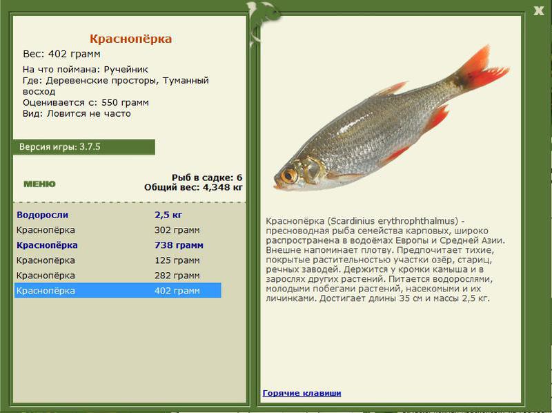 РУССКАЯ РЫБАЛКА Installsoft Edition 