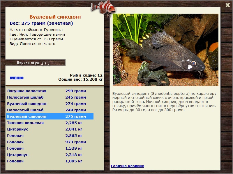 Говорящие камни 
