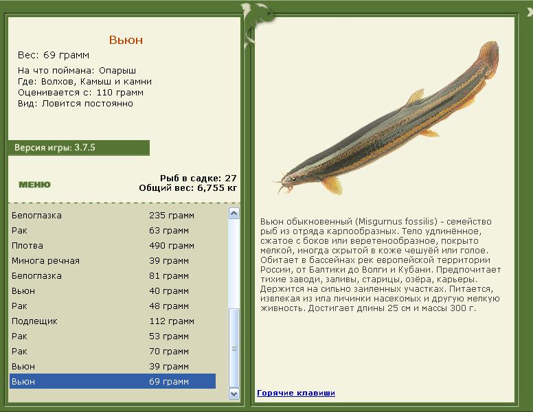 Камыш и камни 