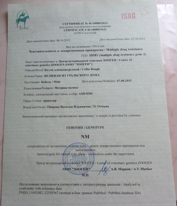 Изображение