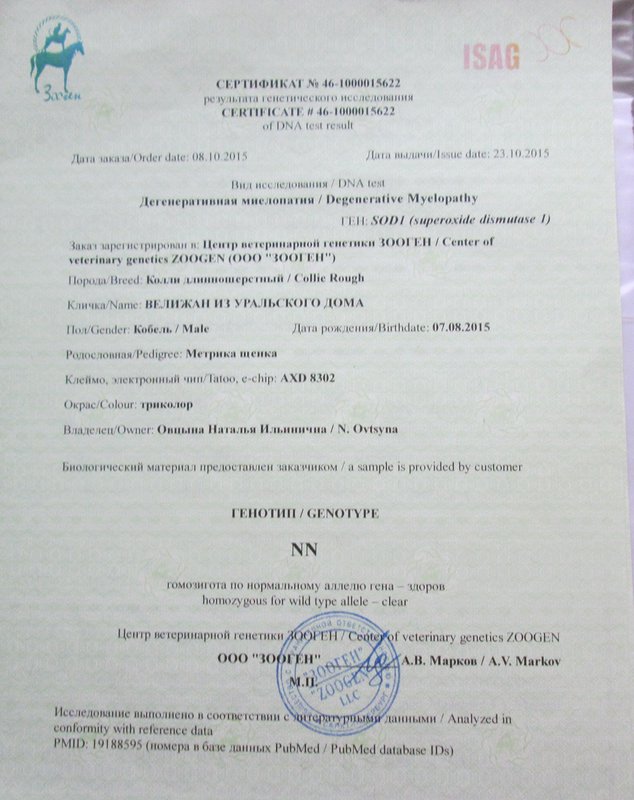 Изображение