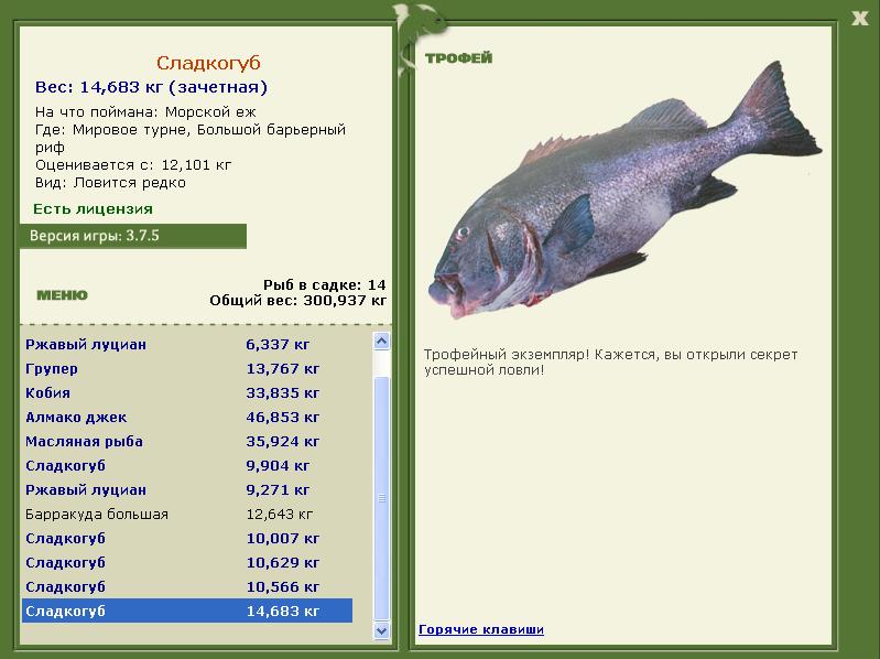 Сладкогуб 