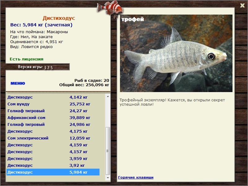 На закате 