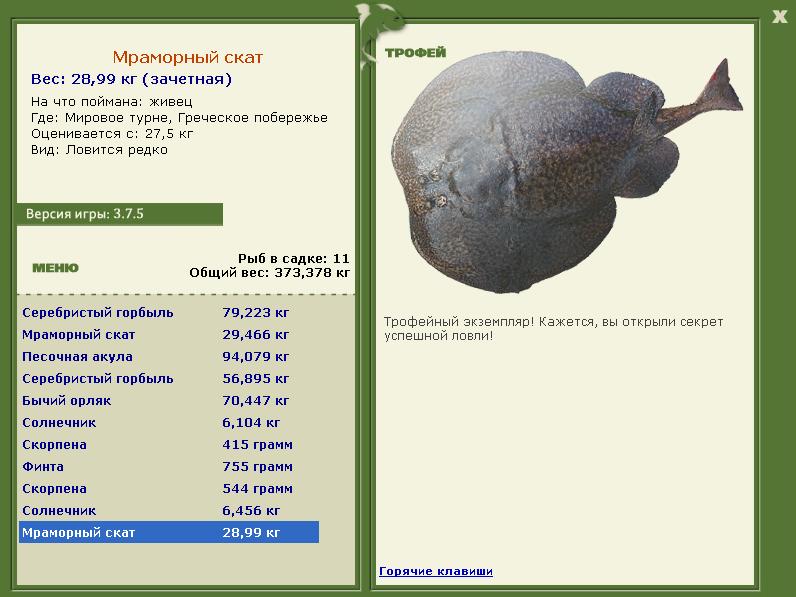 Мраморный скат 