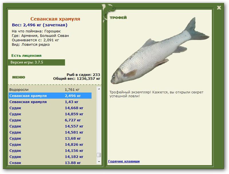 турниры • РУССКАЯ РЫБАЛКА