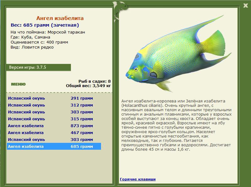 РУССКАЯ РЫБАЛКА Installsoft Edition 