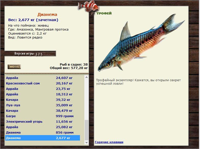 Дианема 