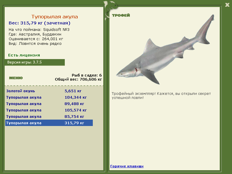 Тупорылая акула 