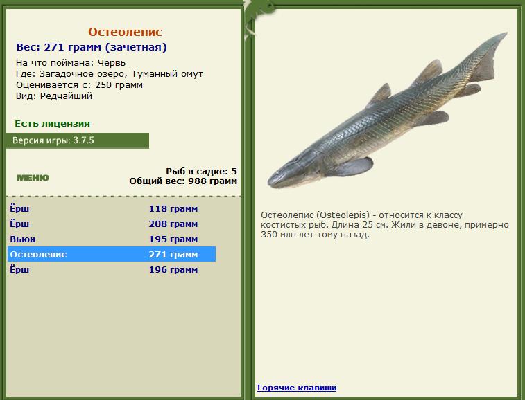 Туманный омут 