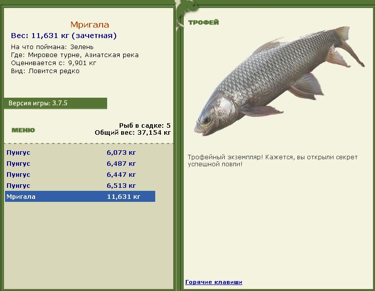 Зелень 