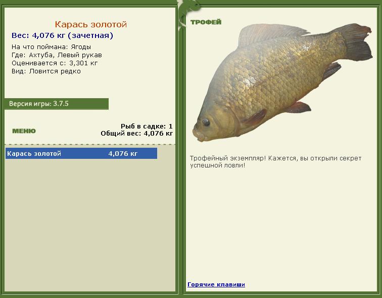 Ягоды 