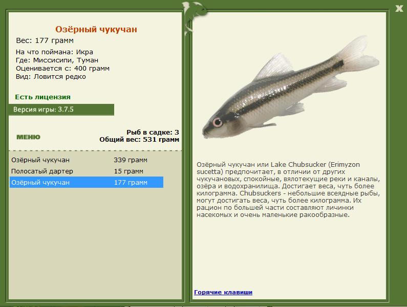 РУССКАЯ РЫБАЛКА Installsoft Edition 
