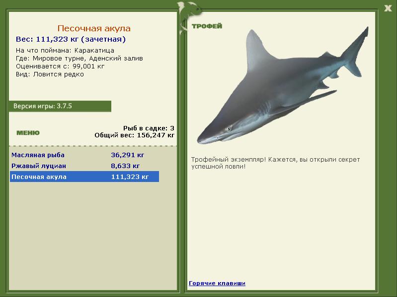 Песочная акула 