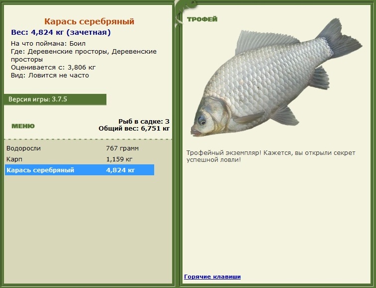 Деревенские просторы 