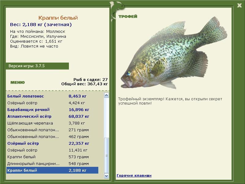 Краппи белый 