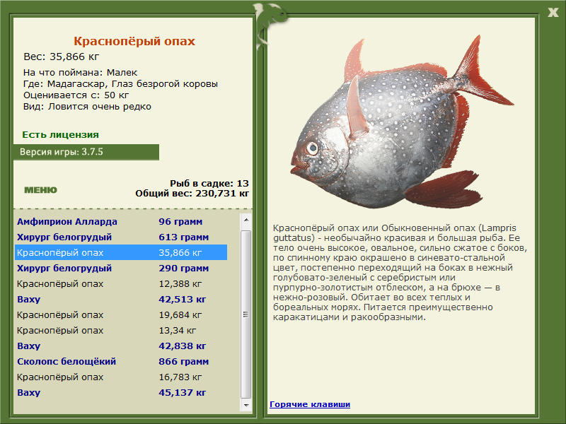 Глаз безрогой коровы 