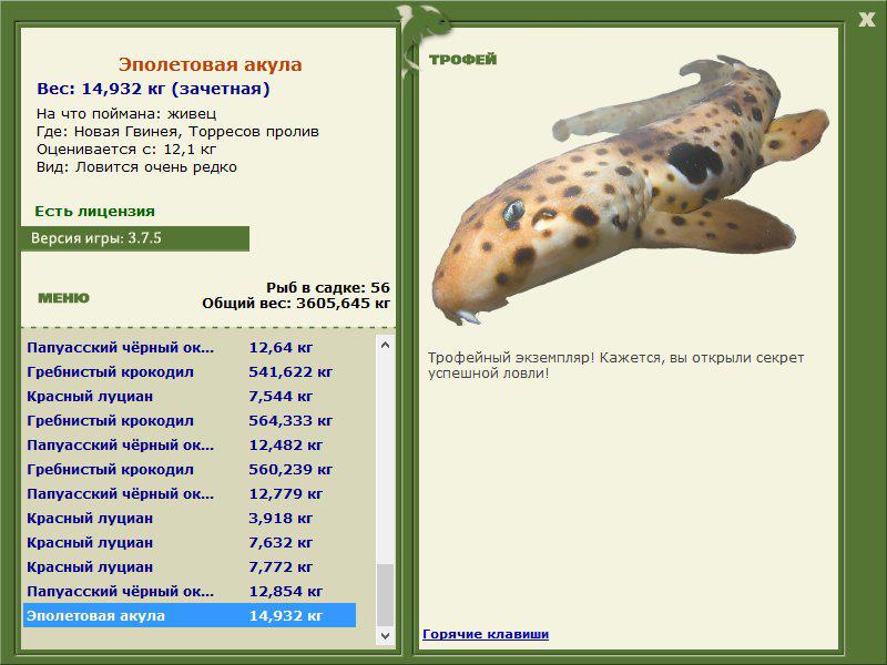 Эполетовая акула 