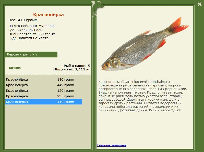 РУССКАЯ РЫБАЛКА Installsoft Edition 