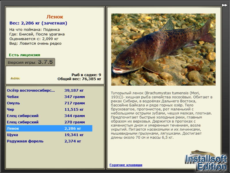 Енисей 