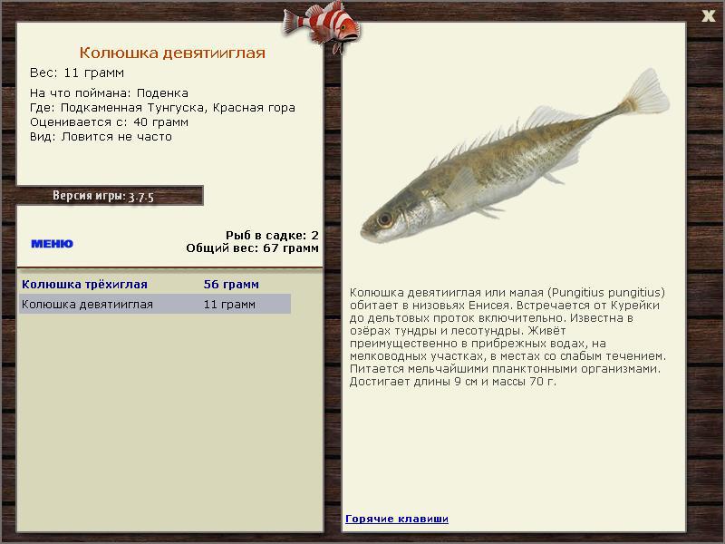 РУССКАЯ РЫБАЛКА Installsoft Edition 