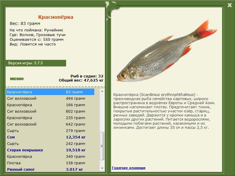 турниры • РУССКАЯ РЫБАЛКА