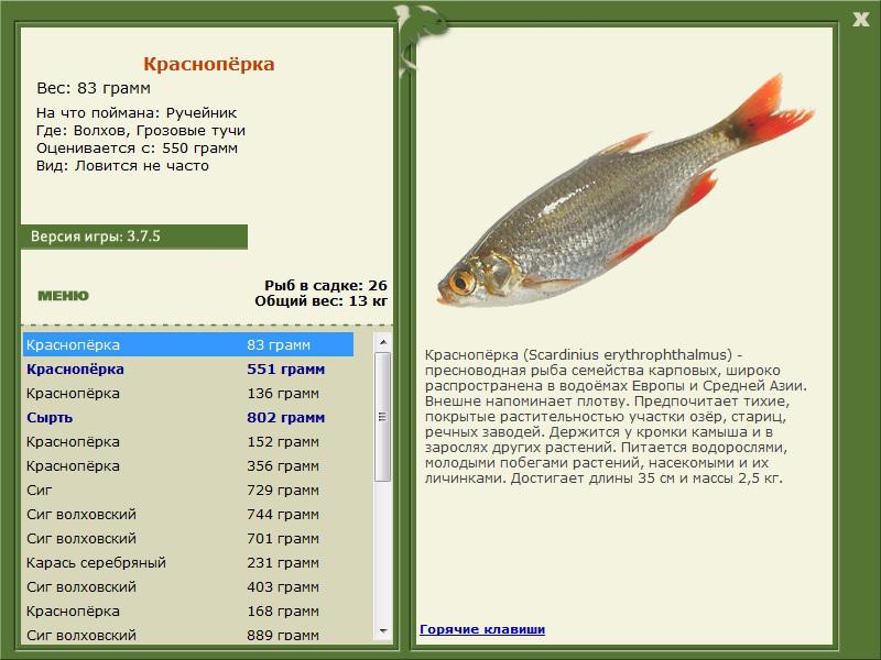 РУССКАЯ РЫБАЛКА Installsoft Edition 