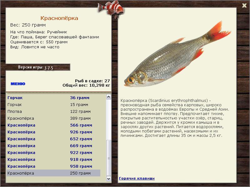 РУССКАЯ РЫБАЛКА Installsoft Edition 