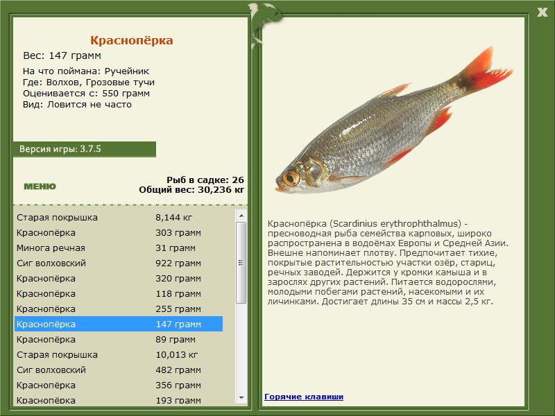 РУССКАЯ РЫБАЛКА Installsoft Edition 