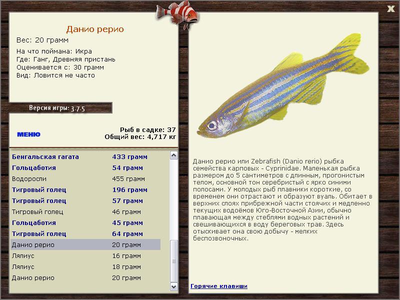 РУССКАЯ РЫБАЛКА Installsoft Edition 