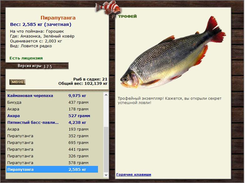 Пирапутанга 