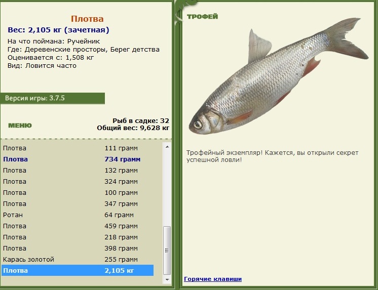 Берег детства 