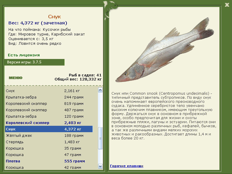Мировое турне 
