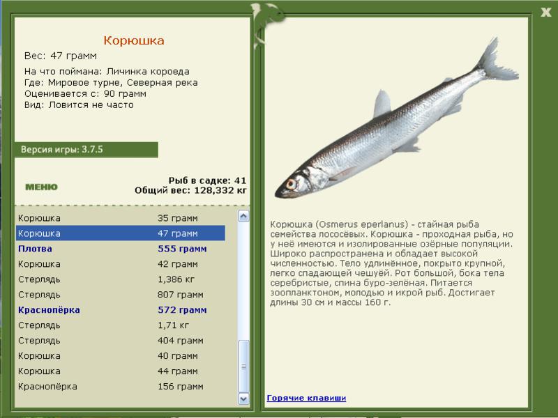 Мировое турне 