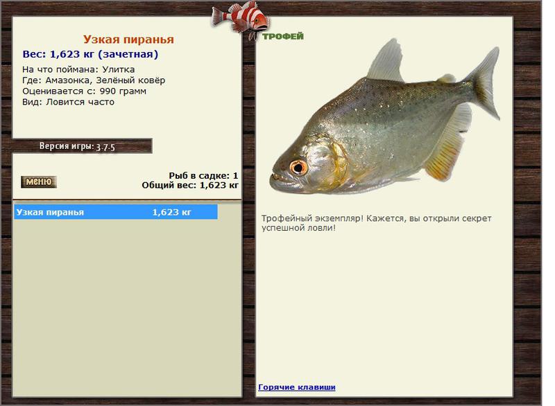 Узкая пиранья 